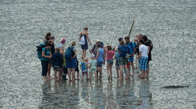 Urlaub am Wattenmeer mit der Diakonie